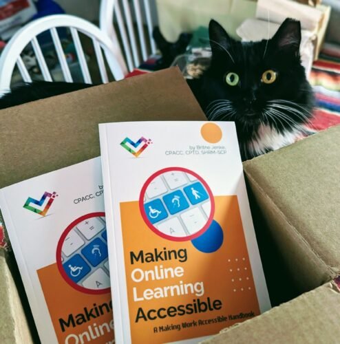 A long-haired tuxedo cat with gold eyes oversees the unboxing of Making Online Learning Accessible